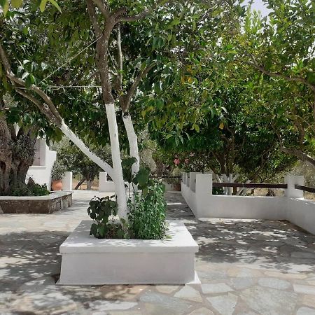 Villa Tillia Panormos  Bagian luar foto