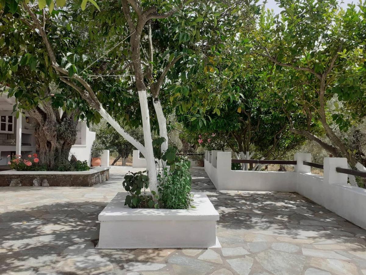 Villa Tillia Panormos  Bagian luar foto