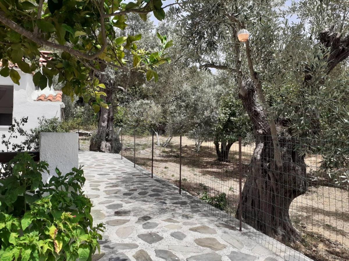 Villa Tillia Panormos  Bagian luar foto