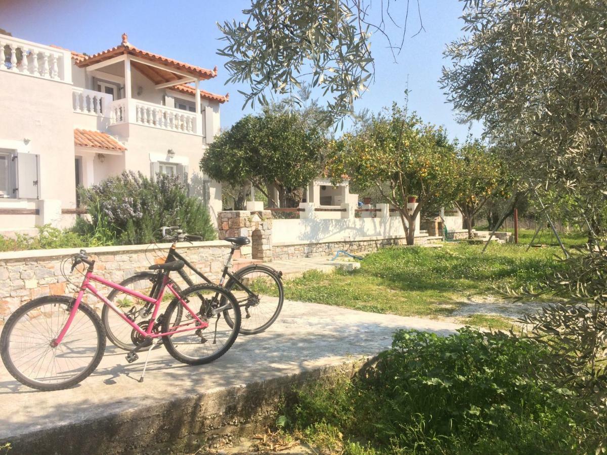 Villa Tillia Panormos  Bagian luar foto