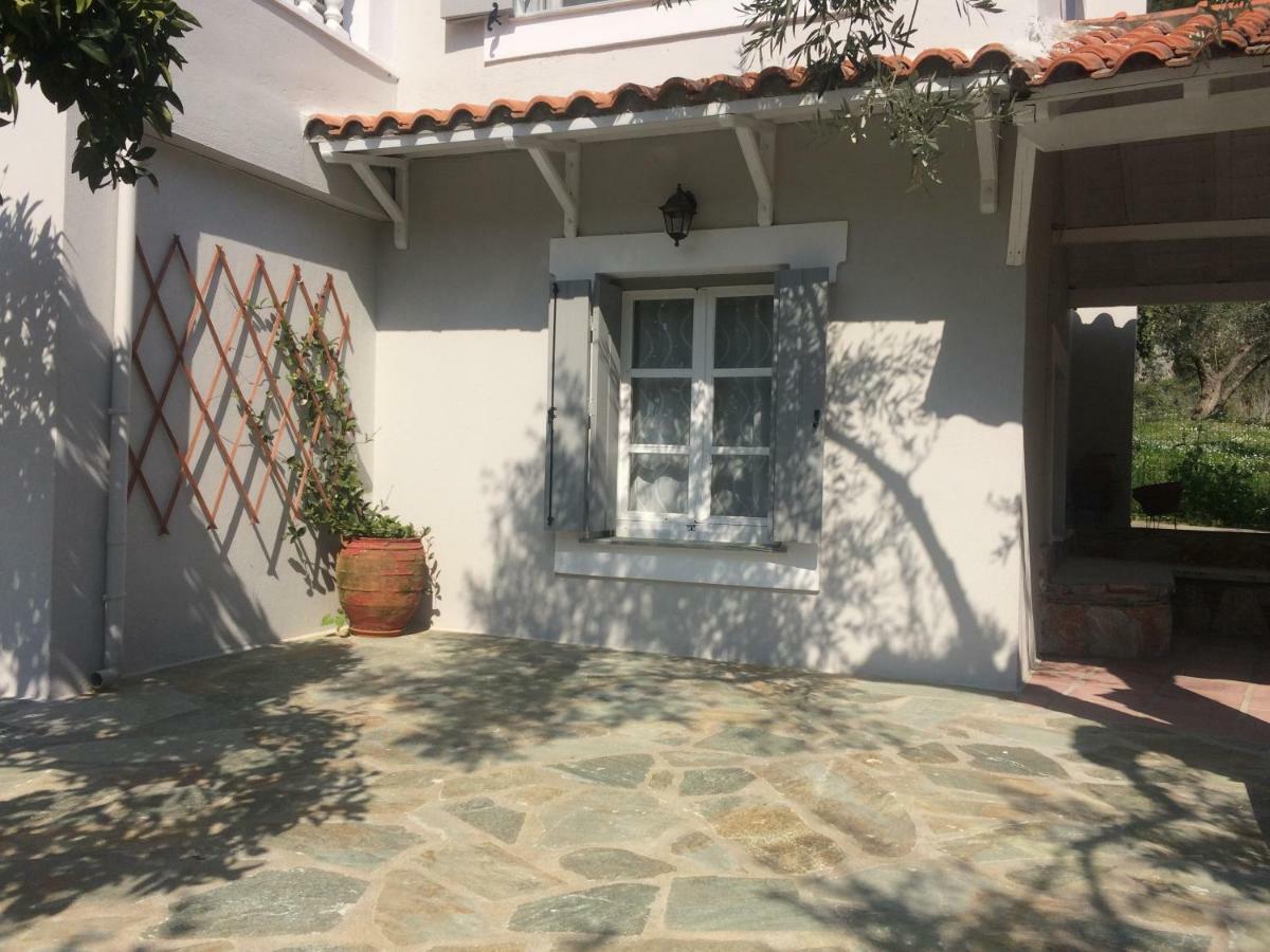 Villa Tillia Panormos  Bagian luar foto